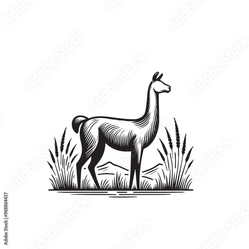 Vicuña Silhouette design. Vicuña Silhouette vector design. Llama vector design. Llama logo.