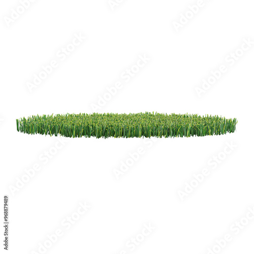 Isolated green grass on a transparent Canvas