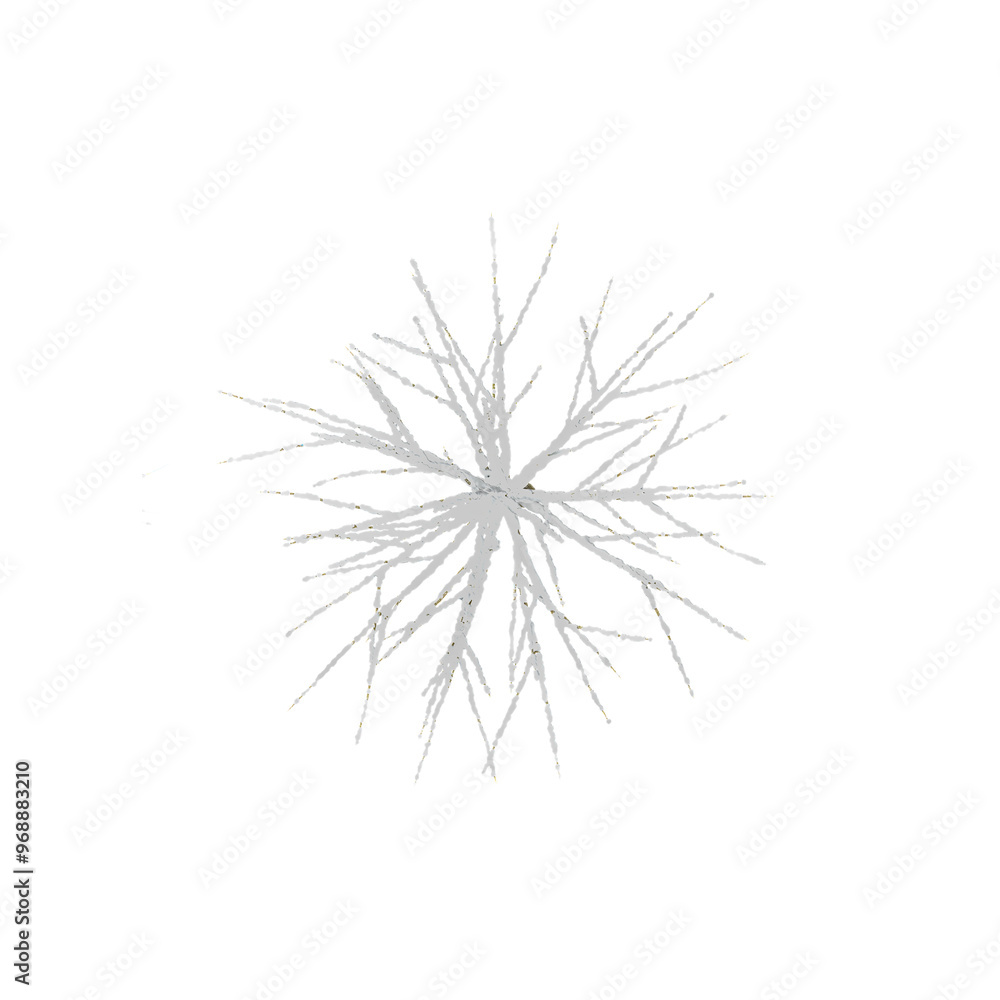Trees Covered in Snows with transparent canvas from the top view Trees Covered in Snows with transparent canvas from the top view