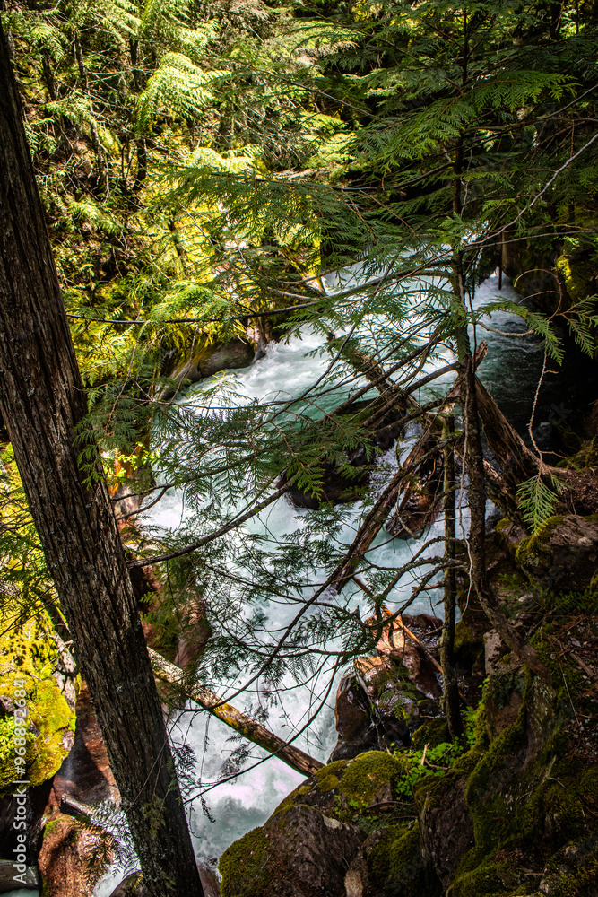 Fototapeta premium Avalanche Lake at Glacier national park, Montana, USA.