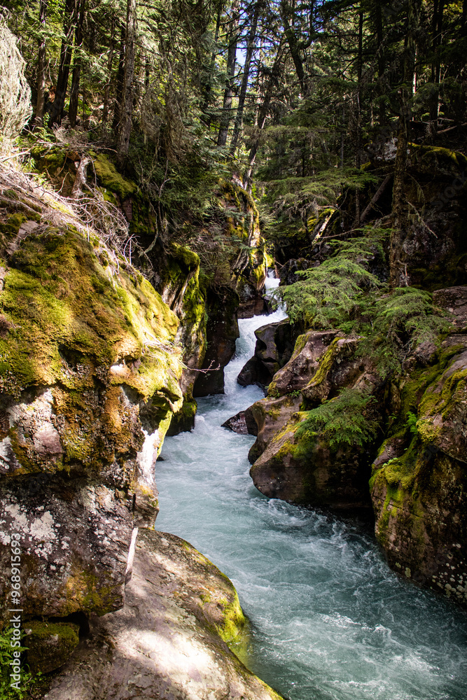 Fototapeta premium Avalanche Lake at Glacier national park, Montana, USA.