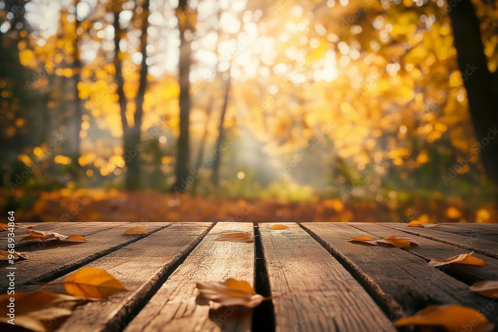 Autumnal Forest Perspectives Focused Through a Wooden Table