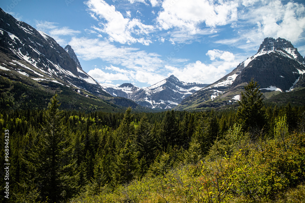 Grinnell Lake trail path way surround by the mountain and wild flower. Glacier national park, Montana, USA. Grinnell Lake trail path way surround by the mountain and wild flower. Glacier national park, Montana, USA.