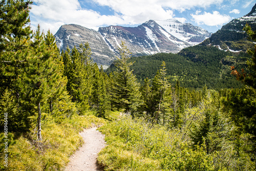 Grinnell Lake trail path way surround by the mountain and wild flower. Glacier national park, Montana, USA.  photo