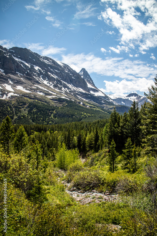 Fototapeta premium Grinnell Lake trail path way surround by the mountain and wild flower. Glacier national park, Montana, USA. 