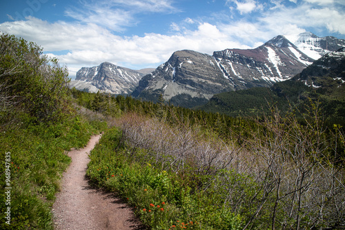 Grinnell Lake trail path way surround by the mountain and wild flower. Glacier national park, Montana, USA.  photo