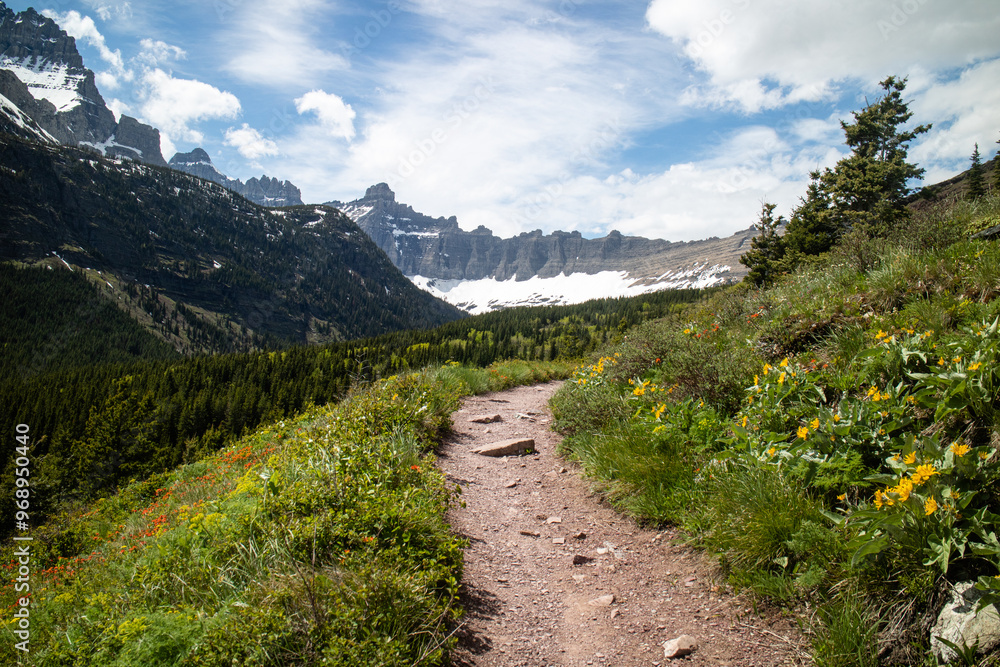 Obraz premium Grinnell Lake trail path way surround by the mountain and wild flower. Glacier national park, Montana, USA. 