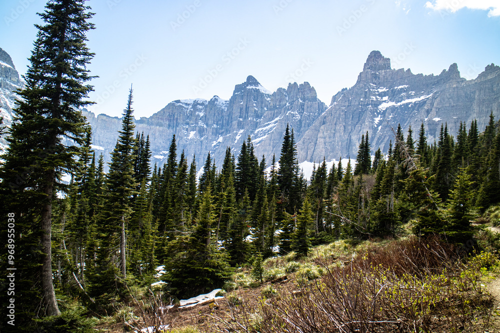Obraz premium U shape valley on the way to iceberg lake at the glacier national park, Montana, USA. 
