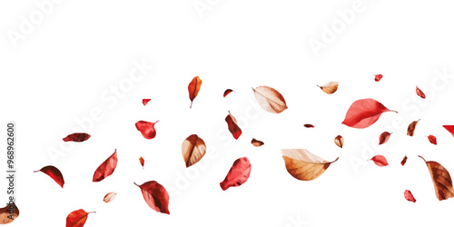 Leaf petals fluttering in the air on a white background.