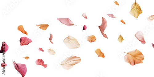 Leaf petals fluttering in the air on a white background.