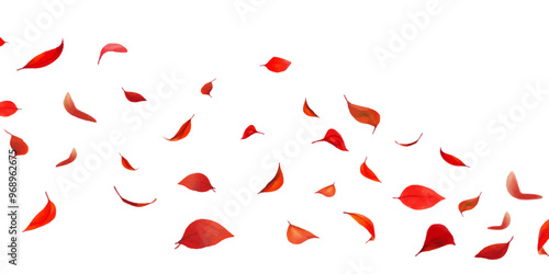 Leaf petals fluttering in the air on a white background.