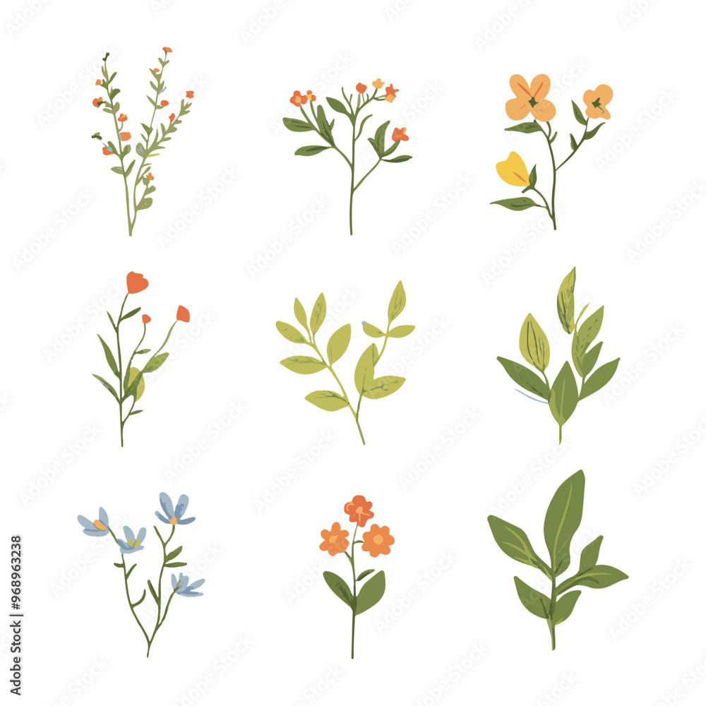 9 hand drawn simple vector wildflower shapes with simple designs on white backgrounds. 9 hand drawn simple vector wildflower shapes with simple designs on white backgrounds.
