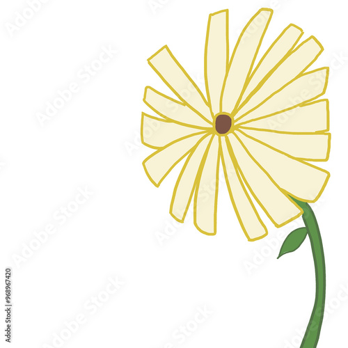 yellow daisy flower