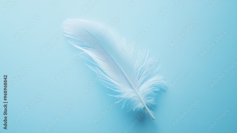 Fototapeta premium Single white feather on a blue background.