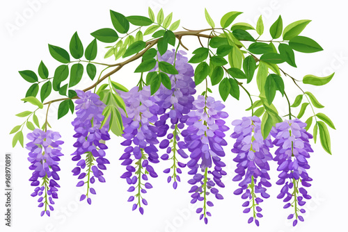 wisteria flowers black, silhouette vector illustration on white background. hyper-realistic, highly detailed, ultra detailed.