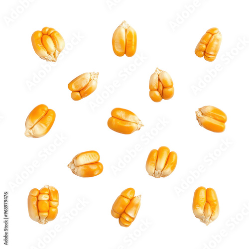 Corn seeds arranged neatly on a clean white surface, showcasing vibrant colors and textures, ideal for agricultural use and farming discussions.