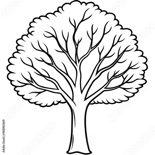 elm tree outline coloring book page line art drawing