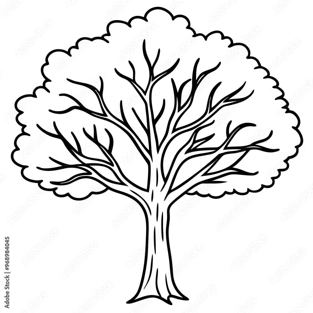 elm tree outline coloring book page line art drawing elm tree outline coloring book page line art drawing