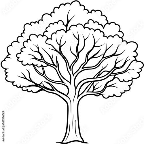 elm tree outline coloring book page line art drawing