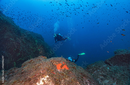 Wallpaper Mural Paisaje submarino mediterraneo con buceadores en la costa brava Torontodigital.ca