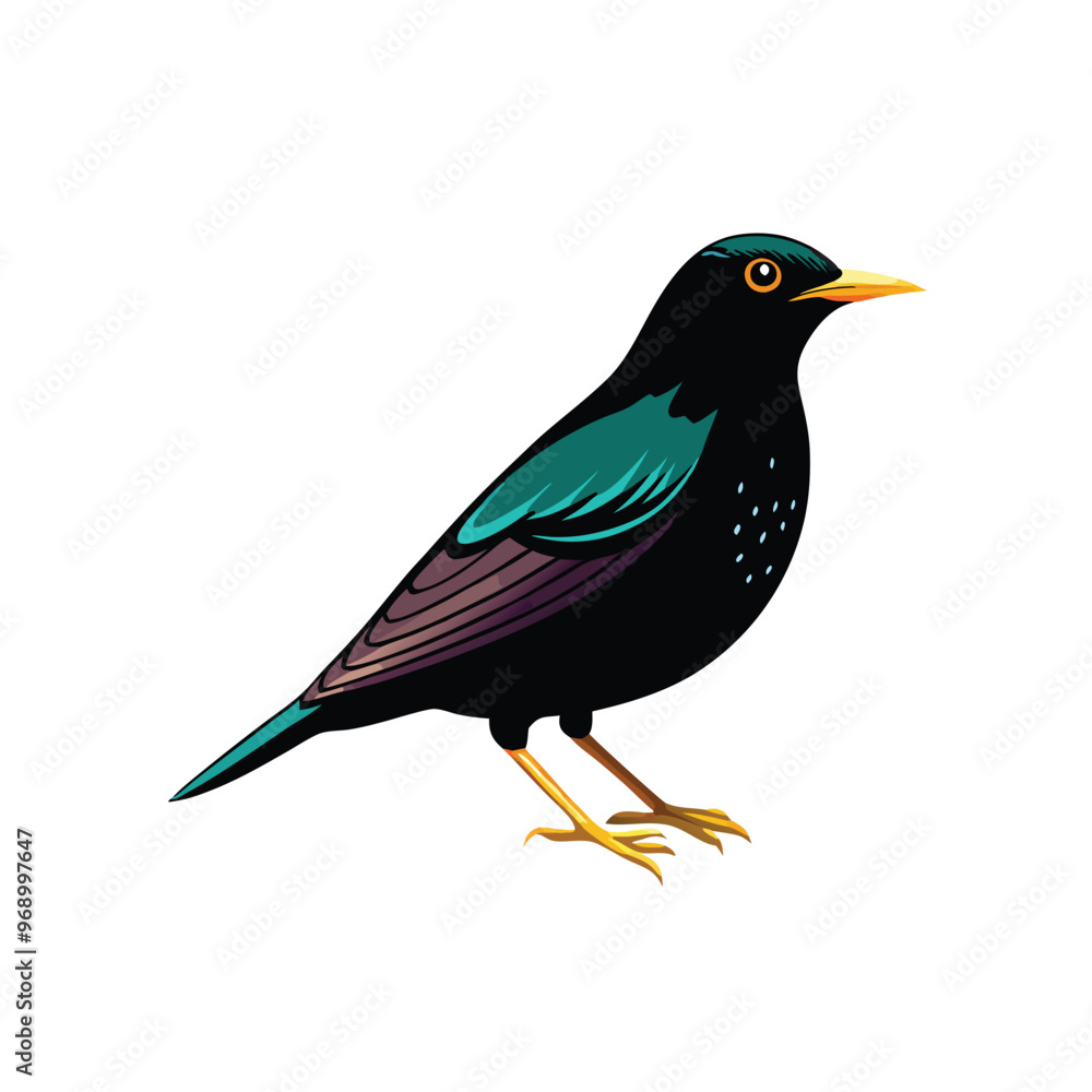 Obraz premium a Beautiful Starling bird silhouette vector art illustration, isolated white background, 