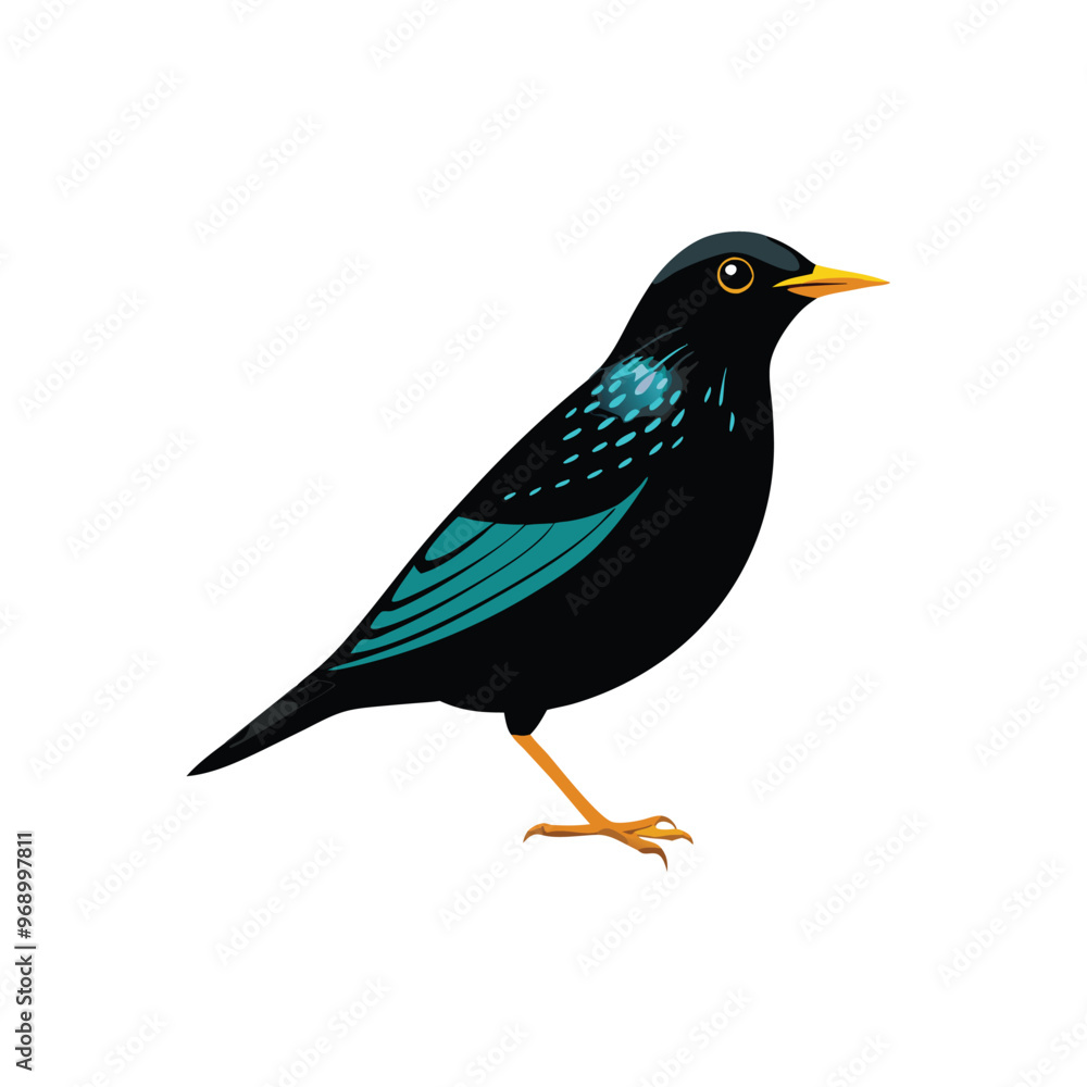 Obraz premium a Beautiful Starling bird silhouette vector art illustration, isolated white background, 