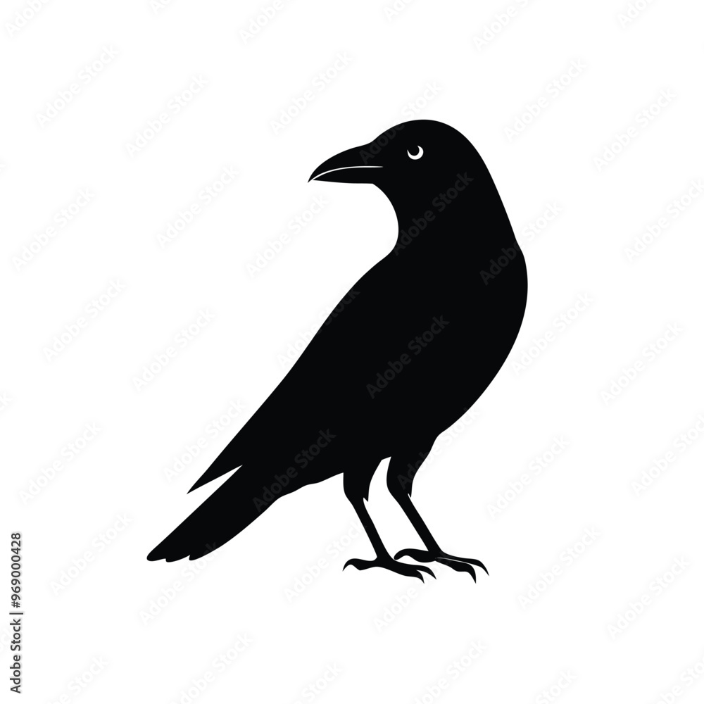 a flat crow silhouette vector art illustration, isolated white background, a flat crow silhouette vector art illustration, isolated white background,