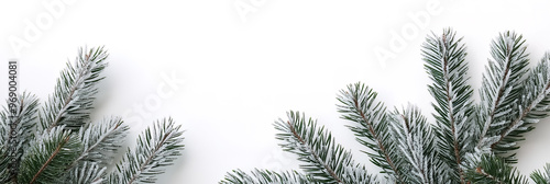 A close-up of Christmas evergreen fir tree twigs dusted with fresh snow, set against a clean white background 