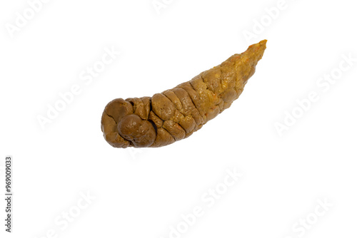 Konstfotografi poop, excrement, feces, shit on white background