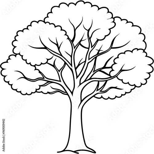 hickory tree outline coloring book page line art drawing