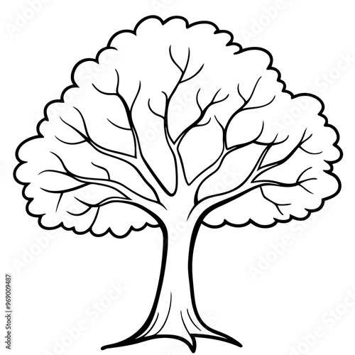 hickory tree outline coloring book page line art drawing