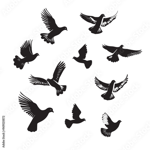 Vector illustration: silhouette of flying birds doves on a white background