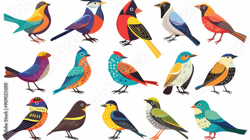 Different Colorful Birds Flat Vector Isolated on White Background