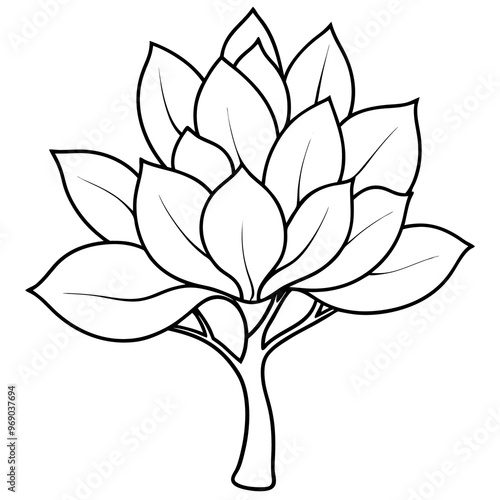 magnolia tree outline coloring book page line art drawing
