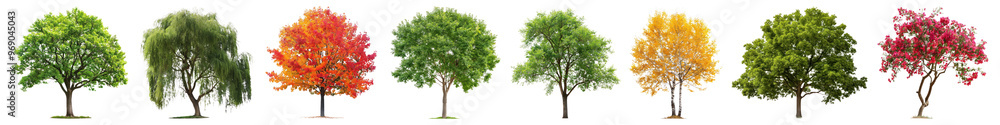 Fototapeta premium Yellow autumn tree png cut out element set
