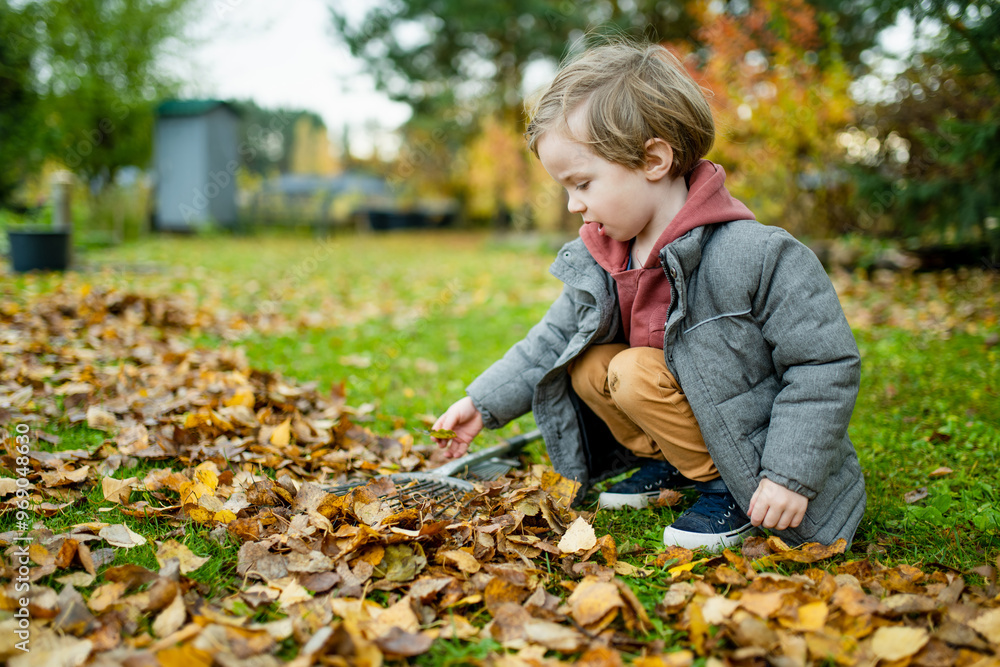 Cute little boy playing with a garden rake on late autumn day. Three years old child helping with chores. Cute little boy playing with a garden rake on late autumn day. Three years old child helping with chores.