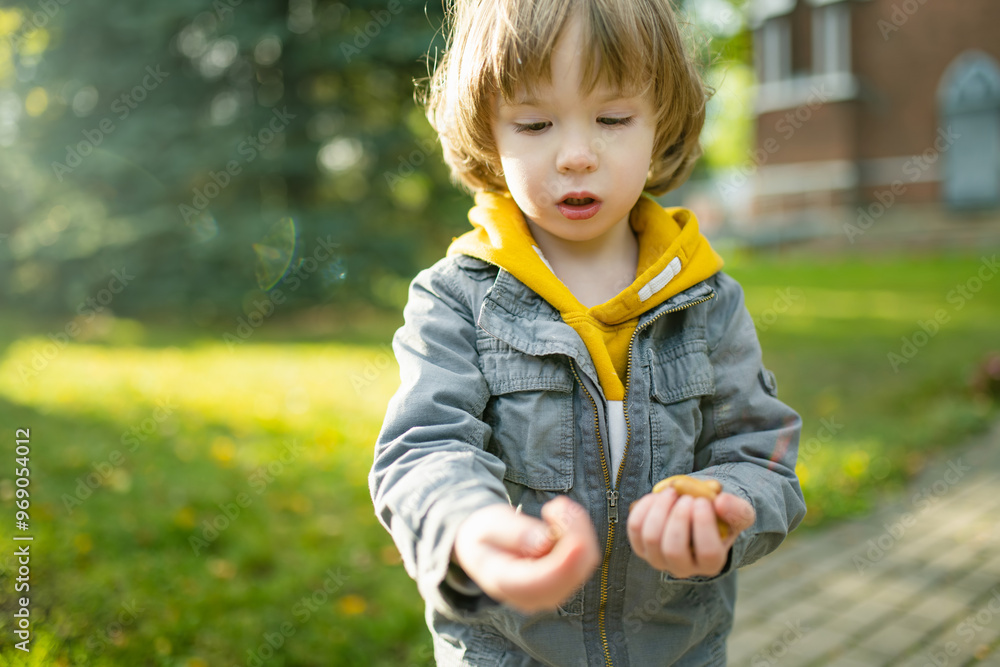 Cute little boy playing outdoors on sunny autumn day. Child exploring nature. Fall activities for kids. Cute little boy playing outdoors on sunny autumn day. Child exploring nature. Fall activities for kids.