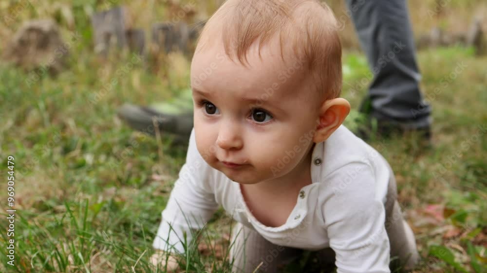 A little baby girl is crawling on all fours on the green grass. The child is learning to walk. A little baby girl is crawling on all fours on the green grass. The child is learning to walk.