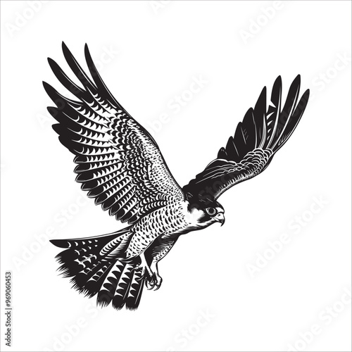 Peregrine Falcon Silhouette Design, Peregrine Clipart Graphic, Peregrine Bird vector illustration in black and white