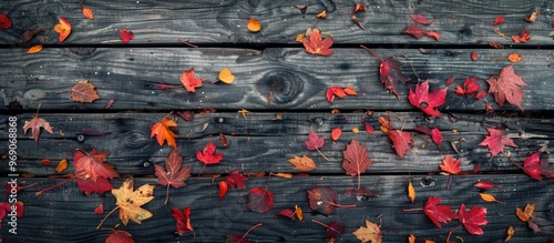 Autumn leaves set against a...