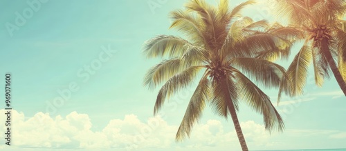 Copy space featuring palm t...