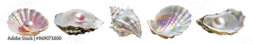 Lustrous seashells with radiant pearls png cut out element set