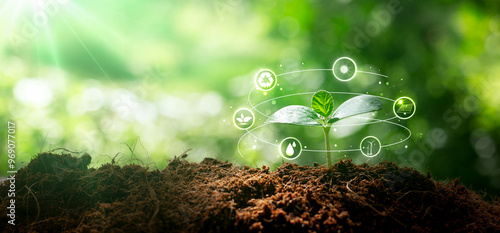 Environmental protection, renewable, sustainable energy sources. Plant growing with icons concept.sustainable development. ecology and world sustainable environment concept.
