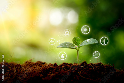 Environmental protection, renewable, sustainable energy sources. Plant growing in the bulb concept.sustainable development. ecology and world sustainable environment concept.