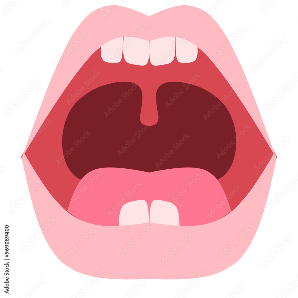 Baby teeth Illustration. Baby teething. Primary tooth development. Baby teeth chart. Baby teeth Illustration. Baby teething. Primary tooth development. Baby teeth chart.