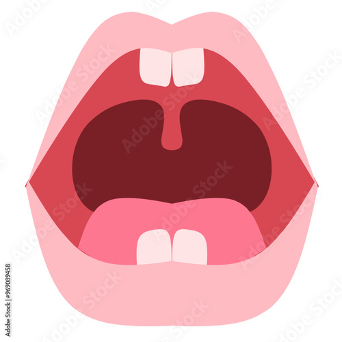 Baby teeth Illustration. Baby teething. Primary tooth development. Baby teeth chart.