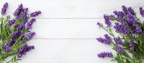 purple flowers on a white w...