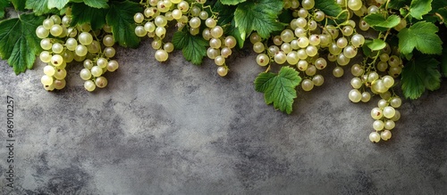 Fresh white currant berries and green leaves on a gray textured table viewed from above Room for text. with copy space image. Place for adding text or design photo