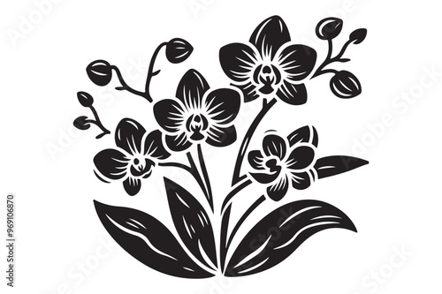Black silhouette of orchid flowers, Vector illustration
