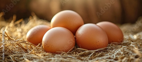 Close up of fresh brown egg...